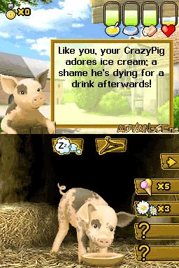 Crazy Pig screenshot