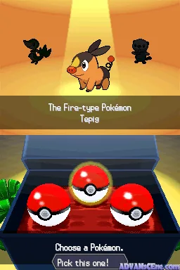 Pokemon - Black Version (USA, Europe) (NDSi Enhanced) screenshot
