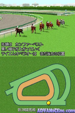 Derby Stallion DS screenshot