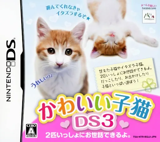 Backdrop artwork for Kawaii Koneko DS 3