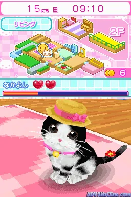 Kawaii Koneko DS 2 screenshot
