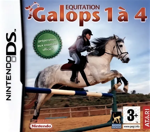 Backdrop artwork for Equestrian Training