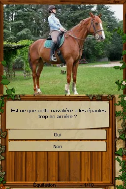 Equestrian Training screenshot
