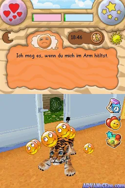 Baby Wild Katzen screenshot