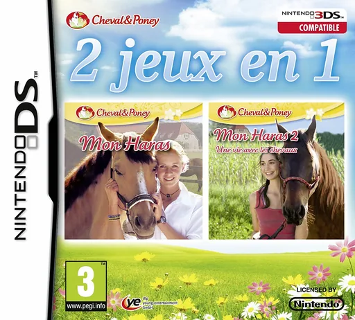 2 in 1 - My Riding Stables + My Riding Stables - Life with Horses cover art for Nintendo DS