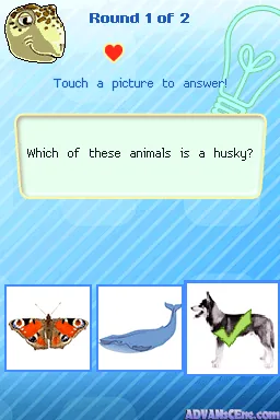 Animal Life - North America (Europe) (En,Fr,De,Es,It) (NDSi Enhanced) screenshot