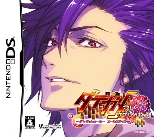 Date ni Gametsui Wake ja Nee! - Dungeon Maker Girls Type cover art for Nintendo DS