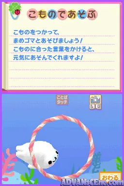 Mamegoma 2 - Uchi no Ko ga Ichiban! screenshot