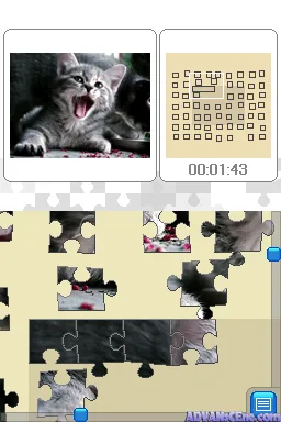 Tierbabys Puzzle - Echter Puzzlespass fuer Unterwegs screenshot