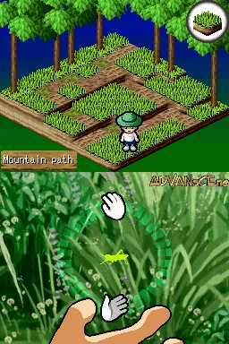 Beetle King screenshot