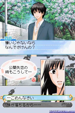 Kimi ni Todoke - Special screenshot