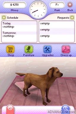 Let's Play Pet Hospitals screenshot