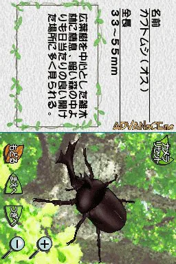 Mushi - Machi no Konchuu Monogatari screenshot