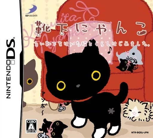 Kutsushita Nyanko - Shiroi Kutsushita o Haita Neko to Kurashi Hajimemashita. cover art for Nintendo DS