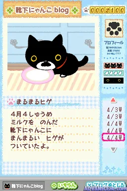 Kutsushita Nyanko - Shiroi Kutsushita o Haita Neko to Kurashi Hajimemashita. screenshot