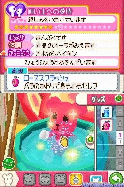 PostPet DS - Yumemiru Momo to Fushigi no Pen screenshot