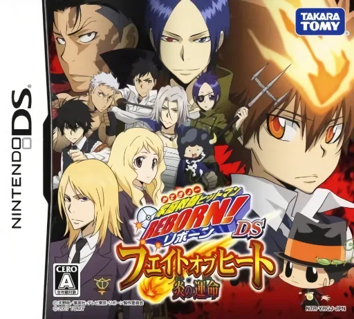 Katekyoo Hitman Reborn! DS - Fate of Heat - Honoo no Sadame cover art for Nintendo DS