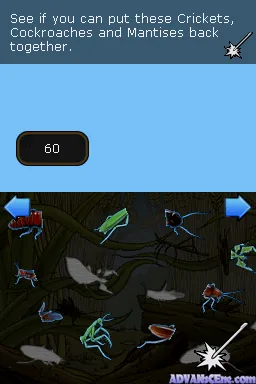 Clever Kids - Creepy Crawlies screenshot