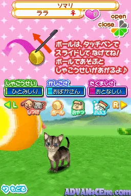 Machi no Pet-ya-san DS 2 - Wannyan 333-hiki Daishuugou! screenshot