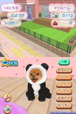 Kawaii Koinu DS 3 screenshot