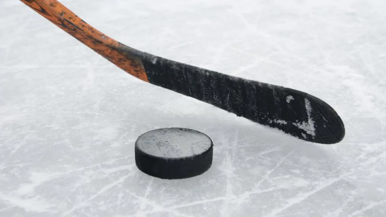 Backdrop artwork for Stick Hunter: Exciting Ice Hockey