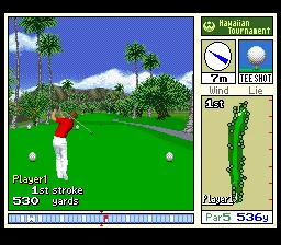 Backdrop artwork for New 3D Golf Simulation: Waialae no Kiseki