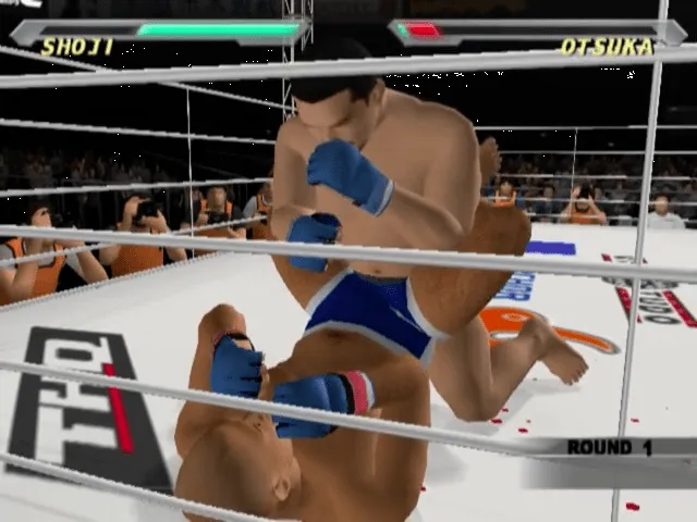 Pride FC: Fighting Championships screenshot