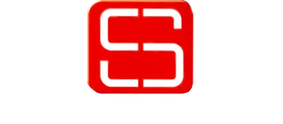Driving Emotion Type-S logo