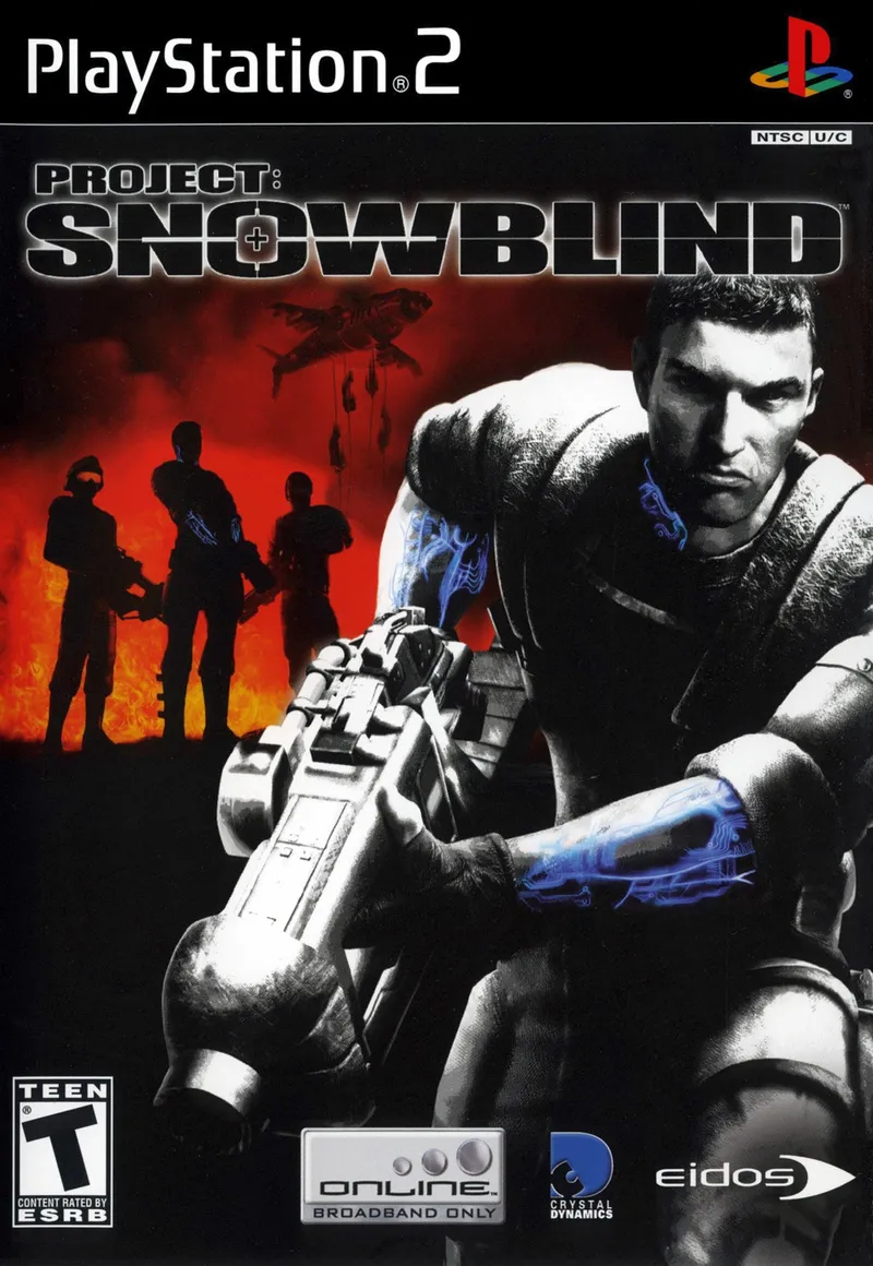 Project: Snowblind box art