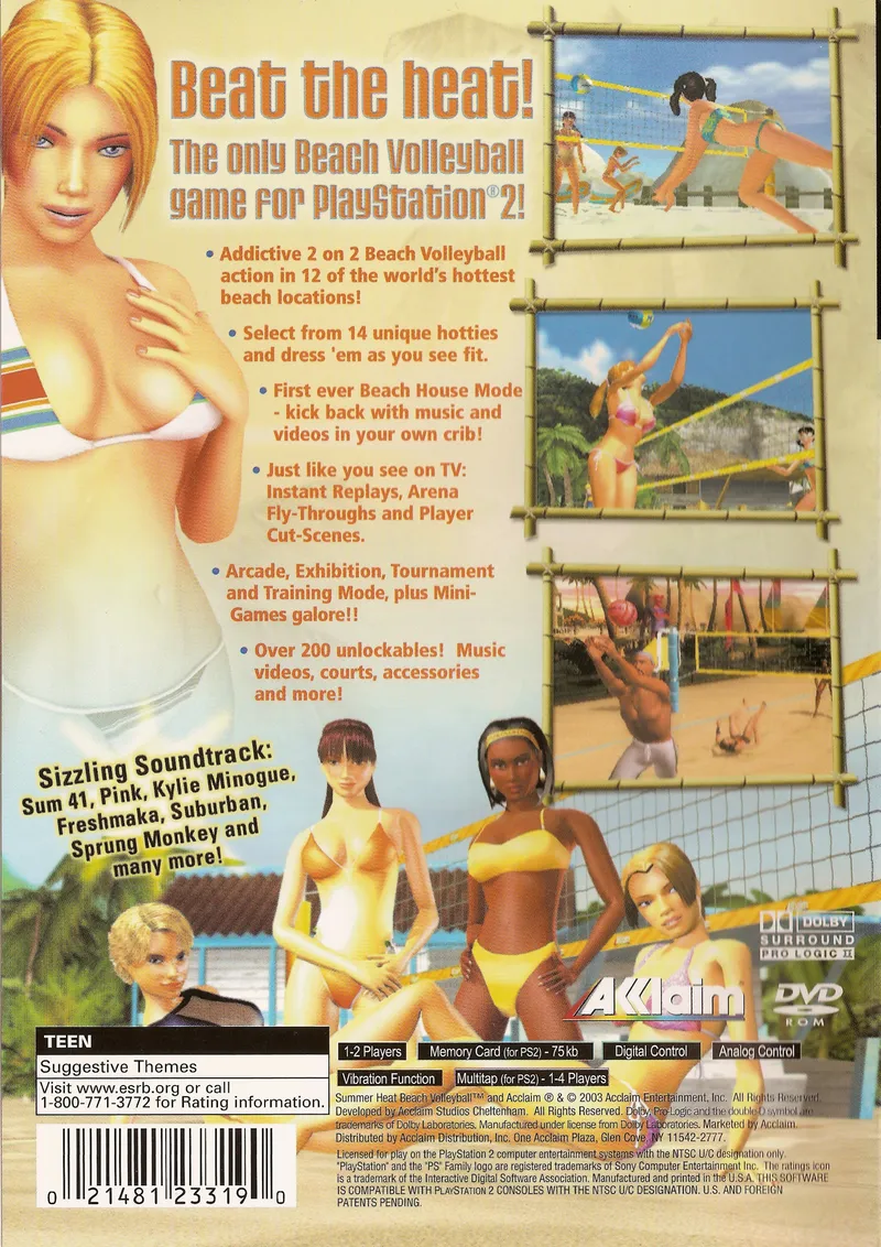 Summer Heat Beach Volleyball box back