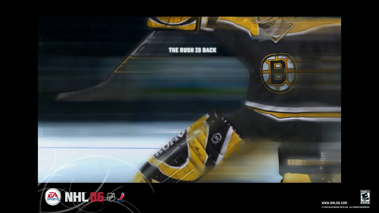 Backdrop artwork for NHL 06