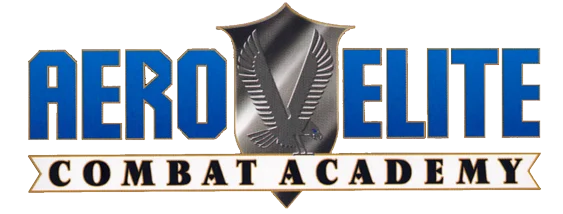Aero Elite: Combat Academy logo