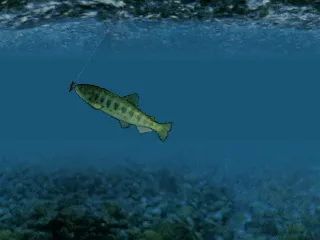 Reel Fishing screenshot