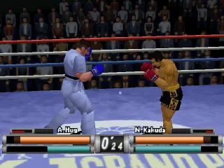 K-1 Revenge screenshot