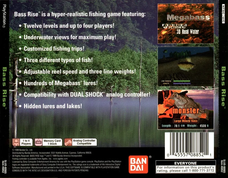 Bass Rise box back