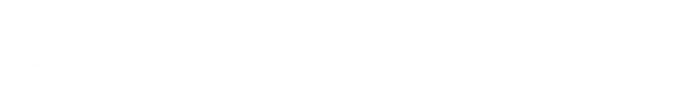 Colin McRae Rally 2.0 logo