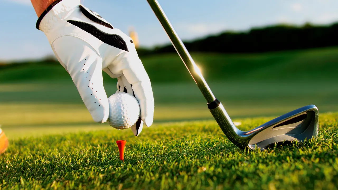 Backdrop artwork for Hot Shots Golf: Open Tee 2