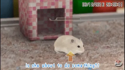 Backdrop artwork for Petz: Hamsterz Bunch