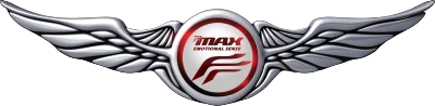 DJ Max Fever logo