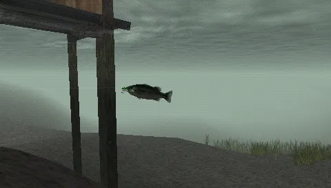 Backdrop artwork for Reel Fishing: The Great Outdoors