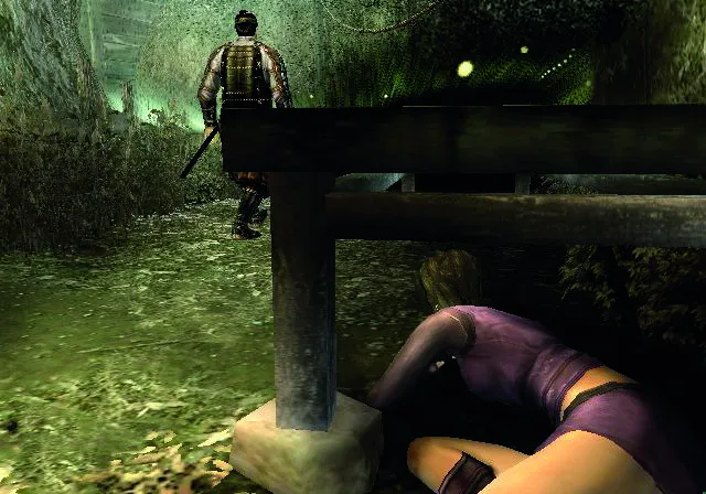 Backdrop artwork for Tenchu: Shadow Assassins