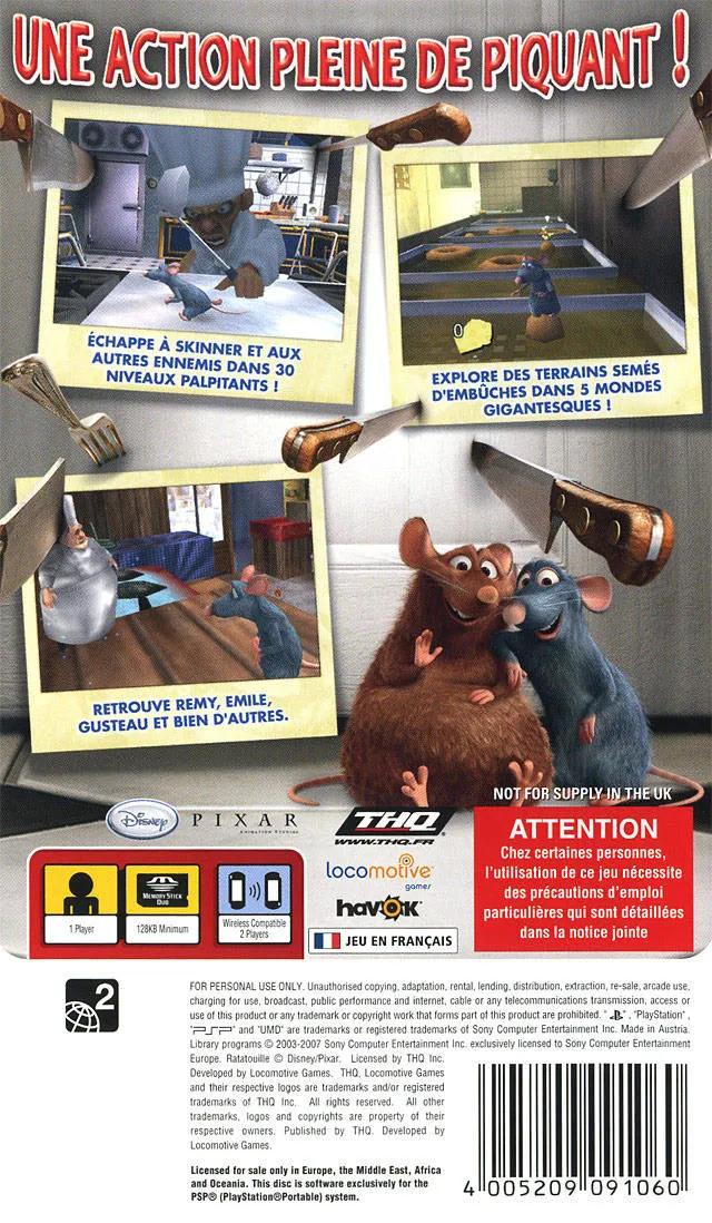 Ratatouille box back
