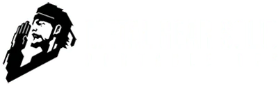 Metal Gear Solid: Portable Ops logo