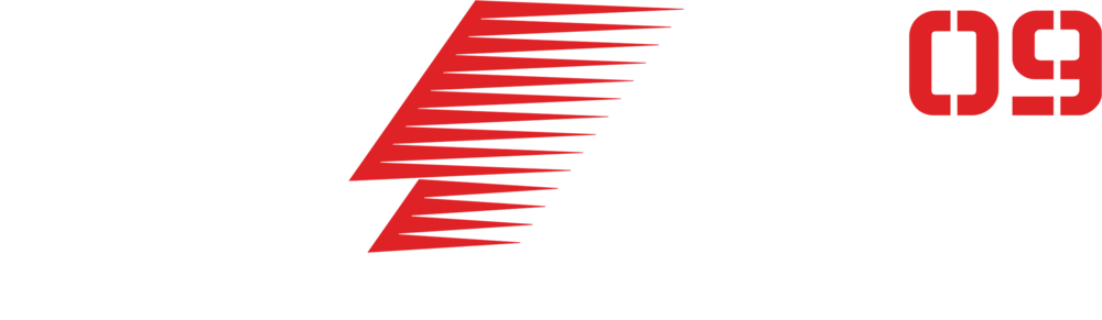 F1 2009 logo