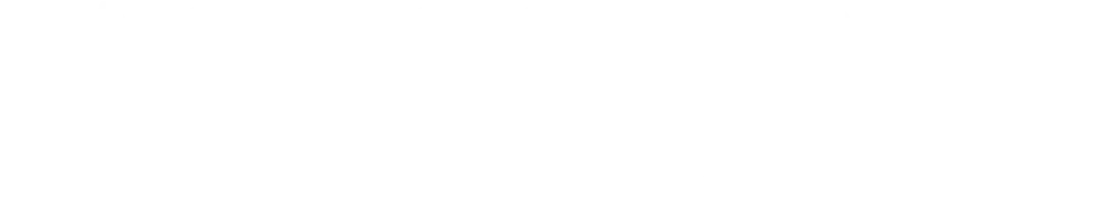 Ace Combat: Joint Assault logo