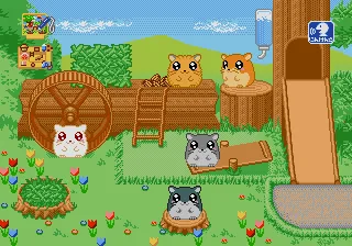 Backdrop artwork for Doubutsu Pico - Hamster Land