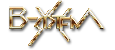 B-System logo