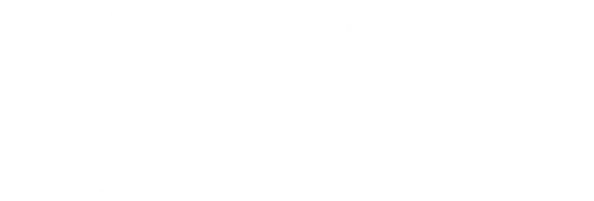 City Patrol logo