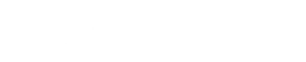 Flight Simulation logo