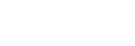 Rocket Man logo
